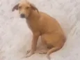 Não definido