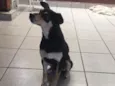 Paçoca