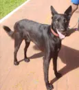 José