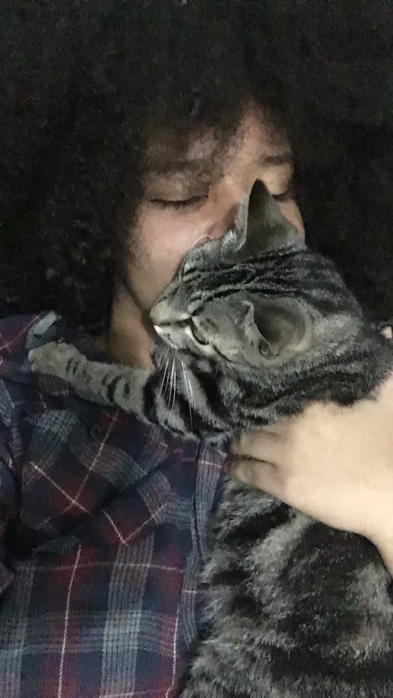 Gato ra a Não sei idade  nome Felicia