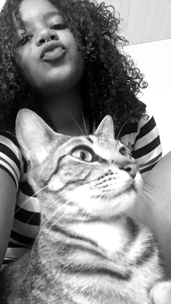 Gato ra a Não sei idade  nome Felicia
