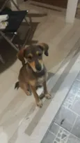 Desconheço 