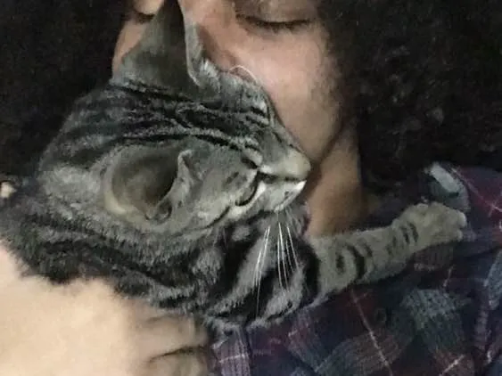 Gato ra a Não sei idade  nome Felicia
