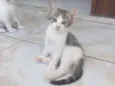 Maiara