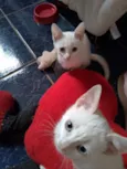 Maggie e Diana 