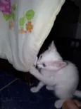 Maggie e Diana 