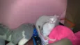 Maggie e Diana 