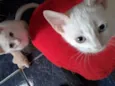 Maggie e Diana 