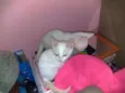 Maggie e Diana 