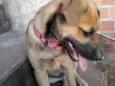 Kira