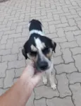 Não definido