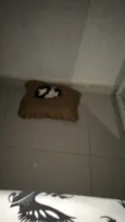 Ainda não tem nome