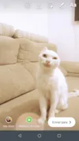 Sol