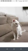 Sol 