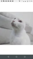 Sol 