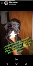 Não tem