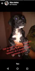 Não tem