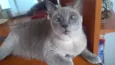 Anouk