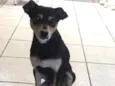 Paçoca
