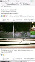Nego