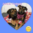 Barto/Catarina