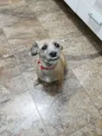 Nina e Teca