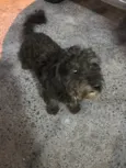 Bob