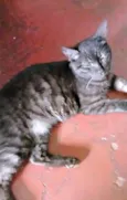 Léo