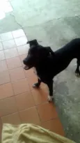 Meg