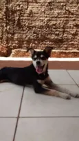 Lua e Flora