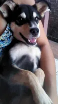 Lua e Flora