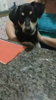 Beethoven