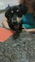 Beethoven