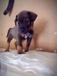 Spike
