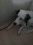 Isnorl 