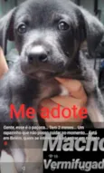 Paçoca