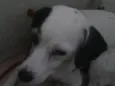 Isnorl 
