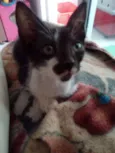 Mia