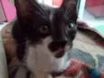 Mia