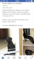 Maicon