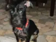 Romeu