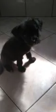 Marley