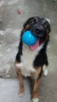 Bilbor 