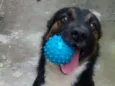 Bilbor 