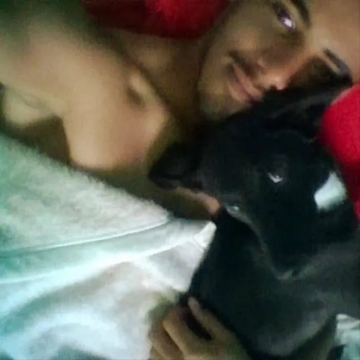 Cachorro raça Vira lata  idade 1 ano nome Weed