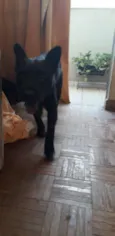 bart