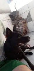 bart