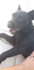 bart