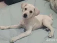 Nick