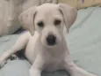 Nick
